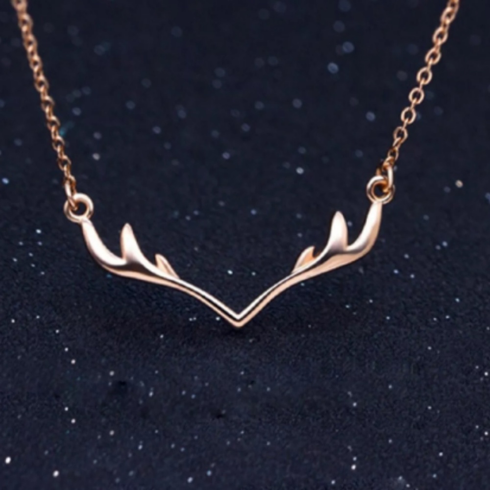 ANTLER NECKLACE - Picture 4 of 5